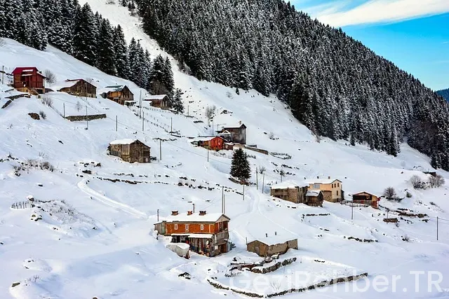 Uzak doğu gezi rehberi