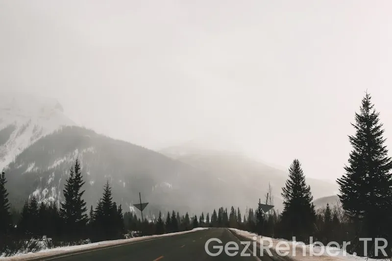 Uzak doğu gezi rehberi