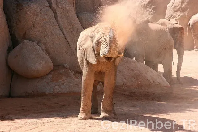 Valencia Gezi Rehberi