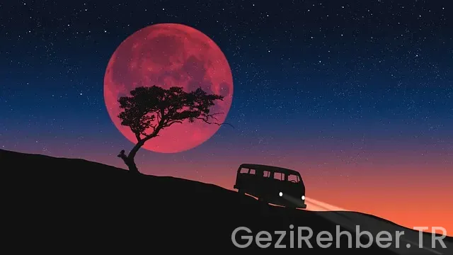 Van Gölü Ekspresi İpuçları