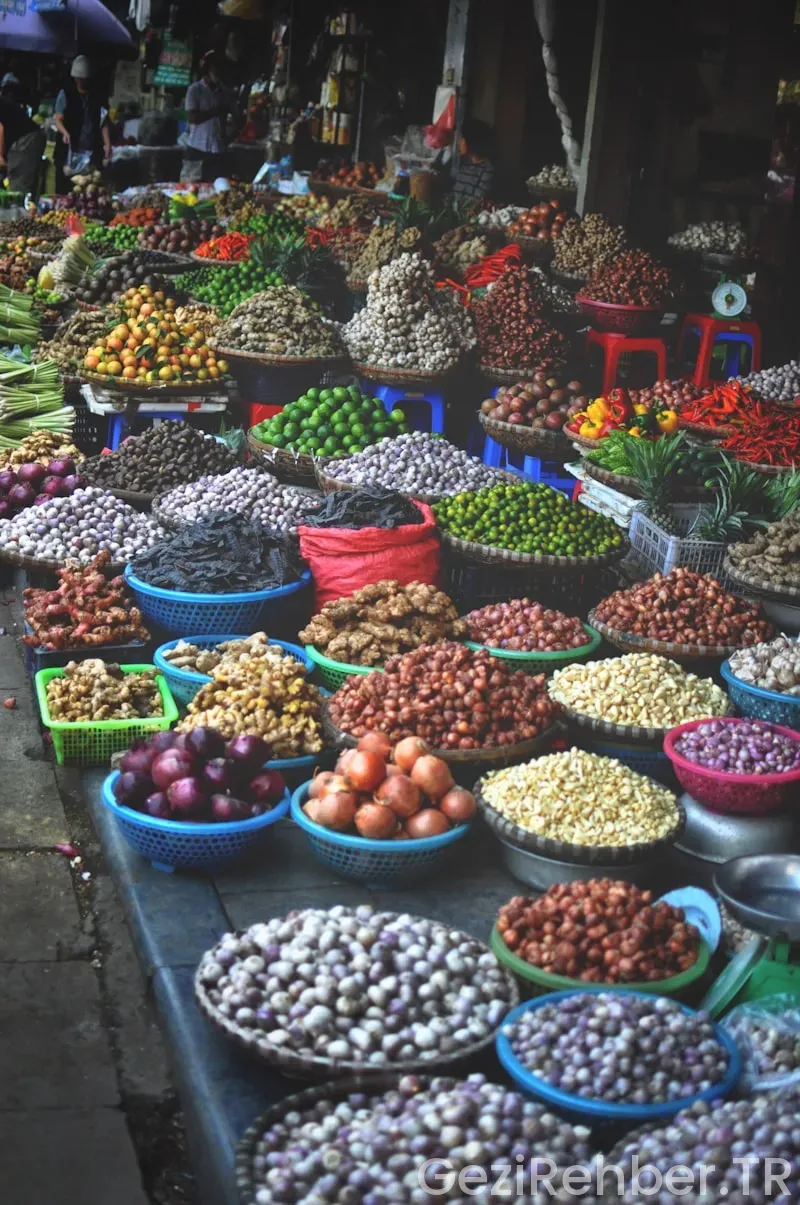 Vietnam gezi turları