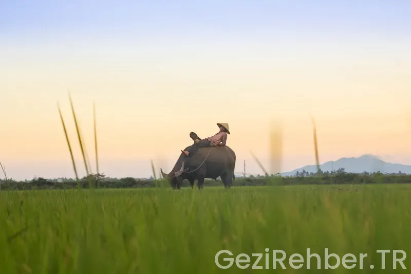 Vietnam gezi turları