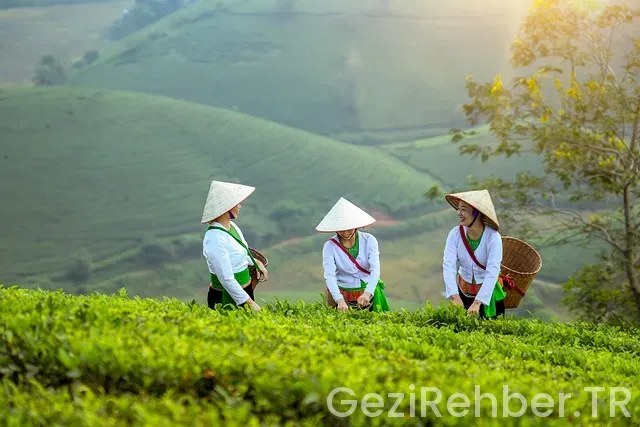 Vietnam uçakla kaç saat sürüyor