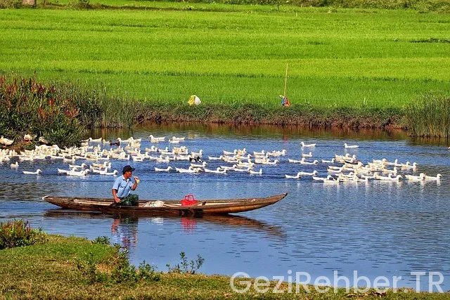 Viyana da nerede kalınır