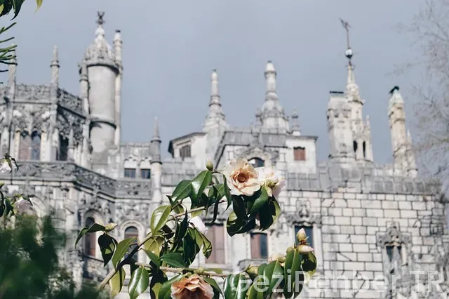 Viyana da nerede kalınır