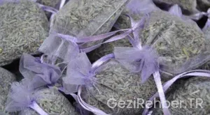 Vizesiz Gidilen En Ucuz Ülkeler