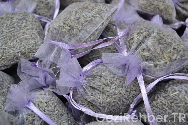 Vizesiz Gidilen En Ucuz Ülkeler