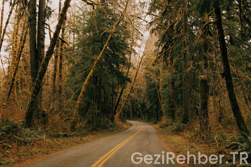 Washington state travel guide