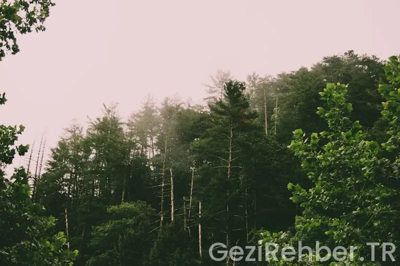 West virginia travel guide