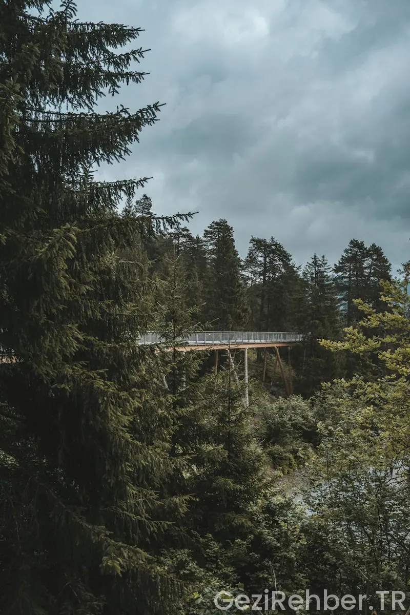 Yabanci Dil Kulubü Yurtiçi Geziler