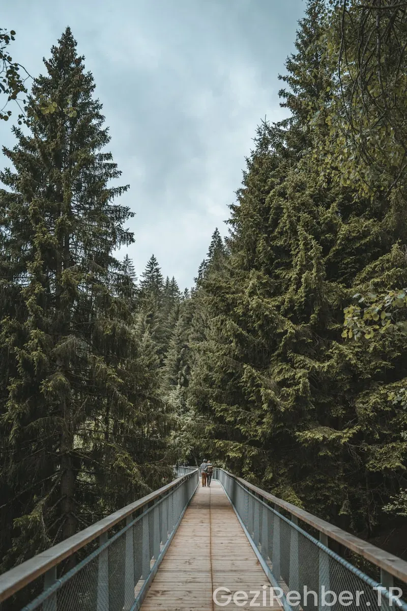 Yabanci Dil Kulubü Yurtiçi Geziler