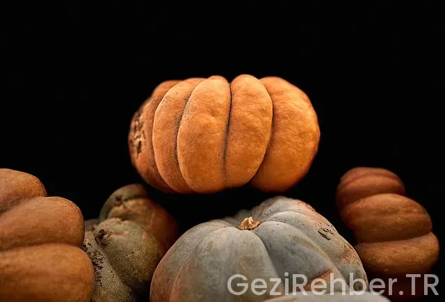 Yazın Balayına Gidilecek Yerler