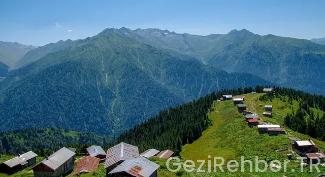 Yeşil Pasaport Nasıl Alınır?