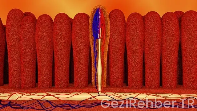 Yolculuk ile ilgili hikayeler