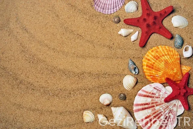 Yunanistan almanya arası uçakla kaç saat