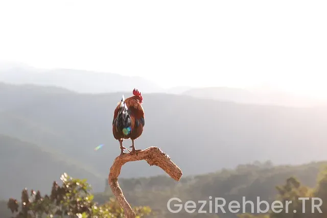 Yunanistan da nerede kalınır