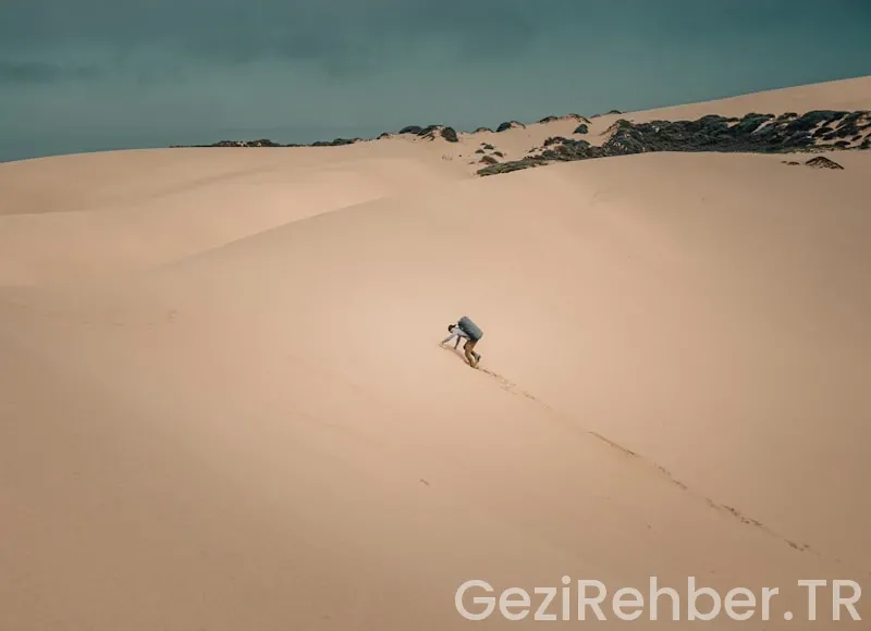 Yurt dısı gezileri