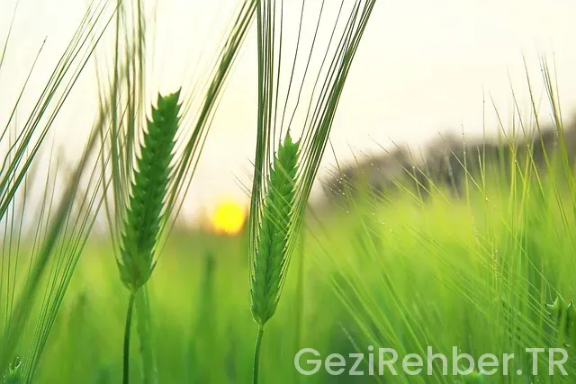 Yurt İçi Gezi İpuçları&nbsp;nelerdir?