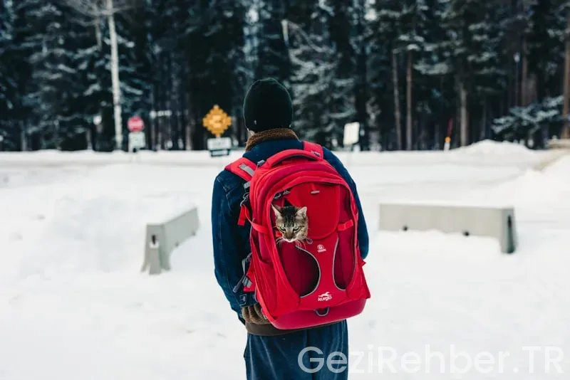 Yurtdışı okul gezileri