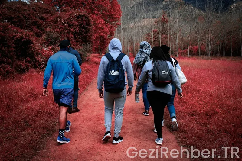 Yurtdışı okul gezileri