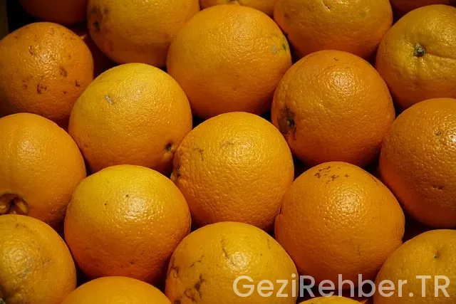 Yurtdışı Pazar Gezileri