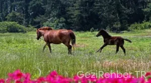 Yurtdışında Ucuz Tatil Nasıl Yapılır?