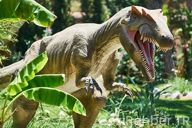 Yurtiçi Gezi Önerileri