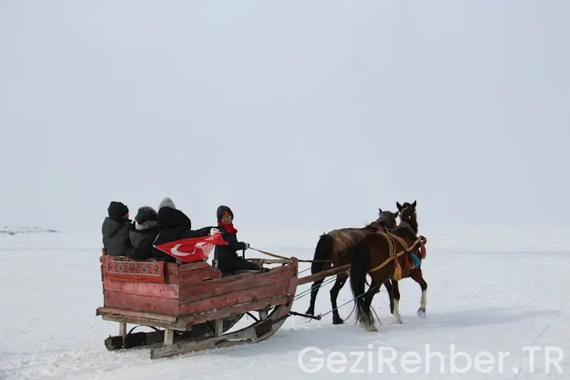 Yurtiçi tur gezileri