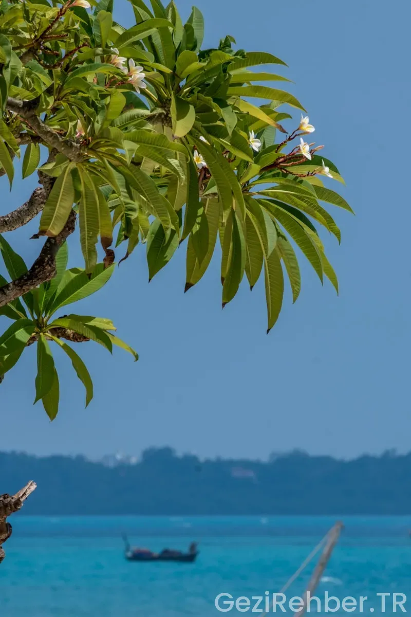 Zanzibar gezi rehberi