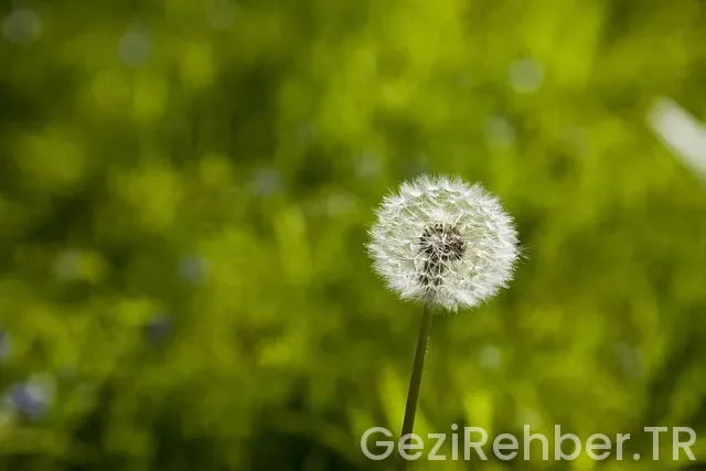 Zonguldak uçakla kaç saat
