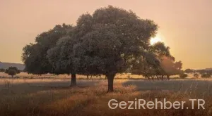 Ardahan Gezi Fırsatları