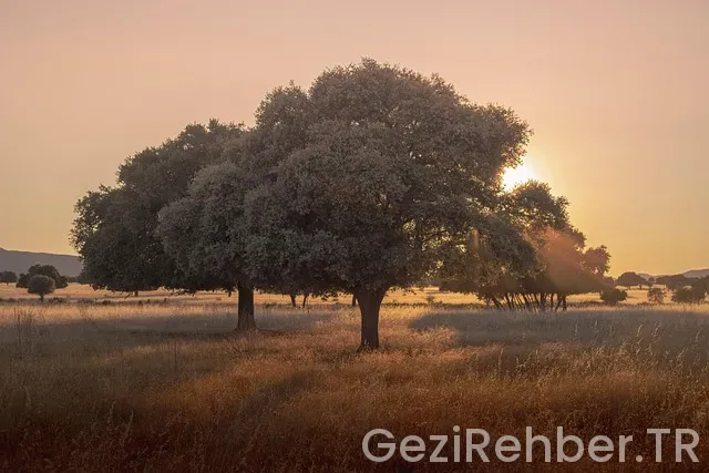 Ardahan Gezi Fırsatları