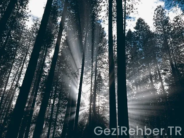 Artvin Gezi Fırsatları