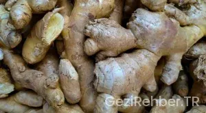 Bilecik Gezi Fırsatları