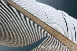 Eskişehir Gezi Fırsatları