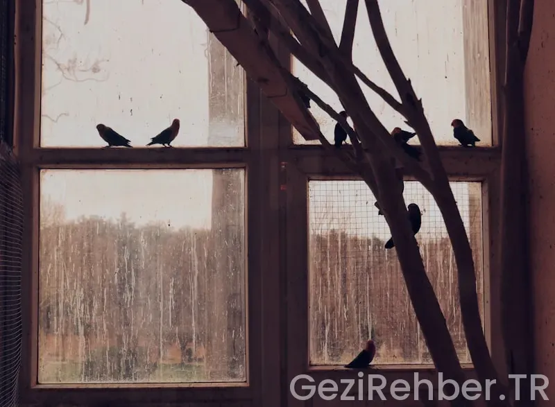 Gaziantep Gezi Fırsatları