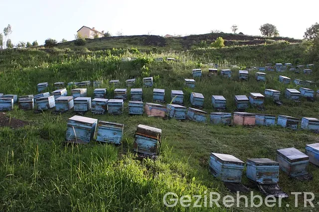 Hakkari Gezi Fırsatları