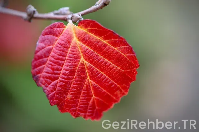 Iğdır Gezi Fırsatları