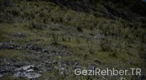 Kahramanmaraş Gezi Fırsatları