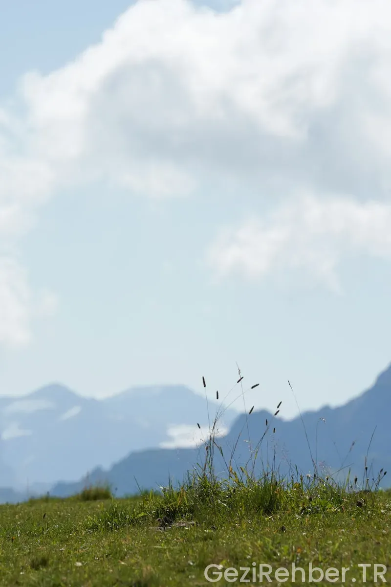 Kahramanmaraş Gezi Fırsatları