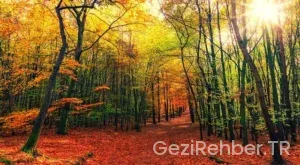 Karaman Gezi Fırsatları