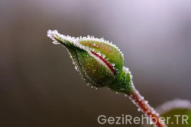 Karaman Gezi Fırsatları