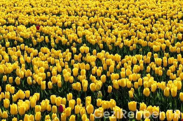 Karaman Gezi Fırsatları