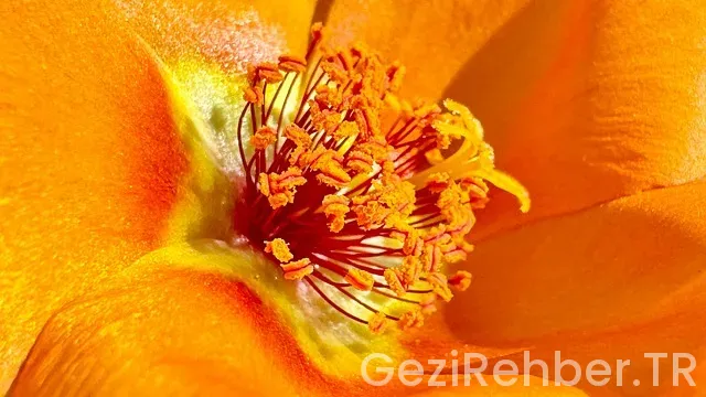 Karaman Gezi Fırsatları