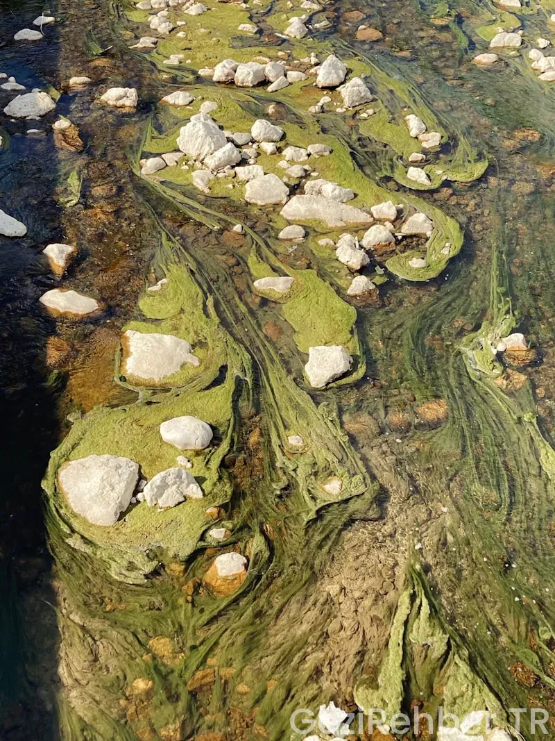 Kastamonu Gezi Fırsatları