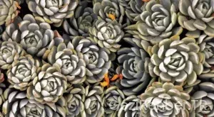 Kırklareli Gezi Fırsatları