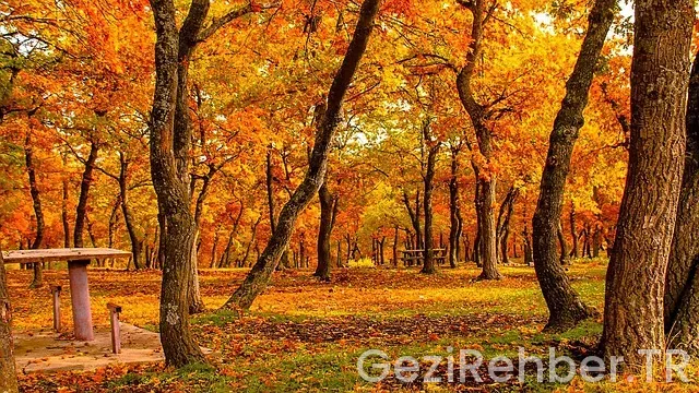 Kırşehir Gezi Fırsatları