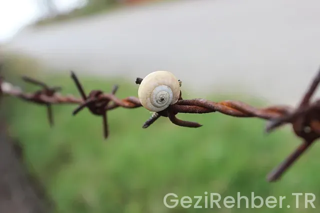 Kocaeli Gezi Fırsatları Kocaeli Gezi Fırsatları