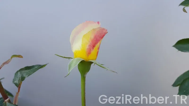 Kütahya Gezi Fırsatları