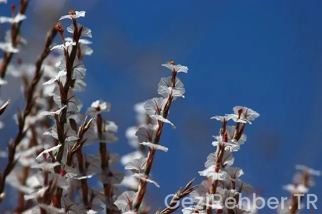 Malatya Gezi Fırsatları